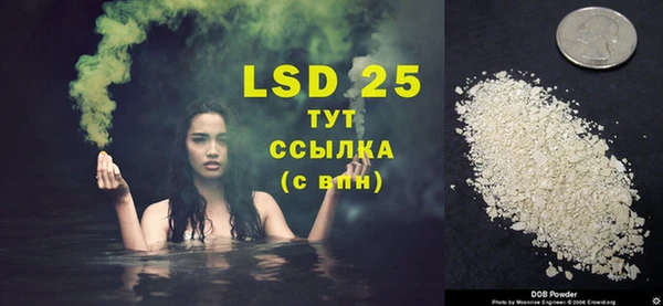 ГАЛЛЮЦИНОГЕННЫЕ ГРИБЫ Ладушкин