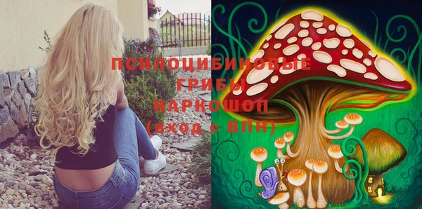 мяу мяу мука Лабытнанги