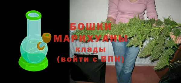 ГАЛЛЮЦИНОГЕННЫЕ ГРИБЫ Ладушкин