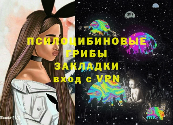 мдпв Лагань