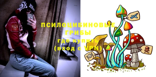 мдпв Лагань