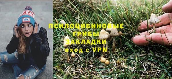 молекула духа Зеленокумск
