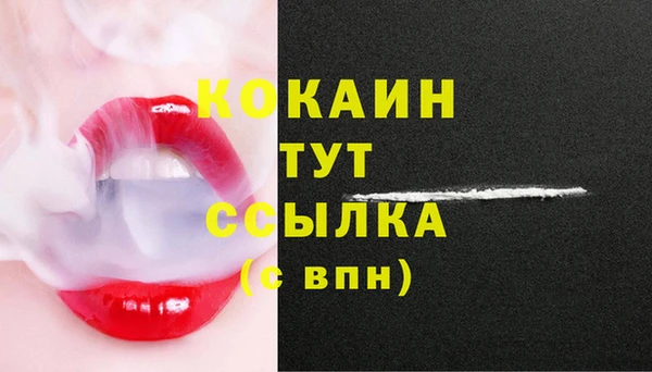 молекула духа Зеленокумск