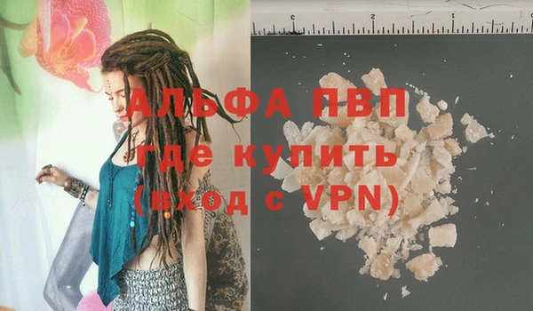ГАЛЛЮЦИНОГЕННЫЕ ГРИБЫ Ладушкин
