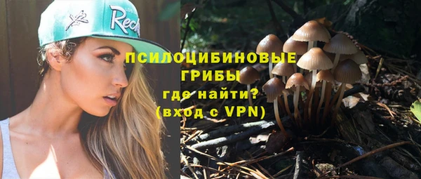 бошки Зеленодольск