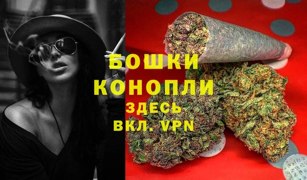 ГАЛЛЮЦИНОГЕННЫЕ ГРИБЫ Ладушкин