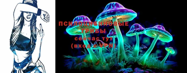 молекула духа Зеленокумск