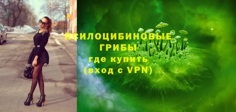 Галлюциногенные грибы Psilocybe  купить  сайты  Салехард 
