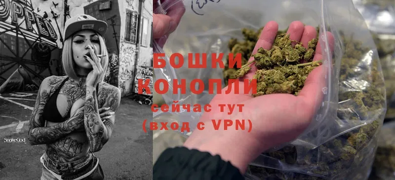 darknet наркотические препараты Салехард Конопля LSD WEED